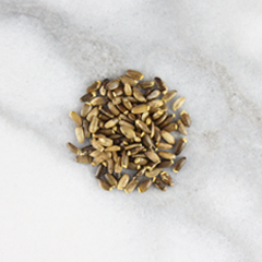 Milk Thistle