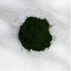 Spirulina